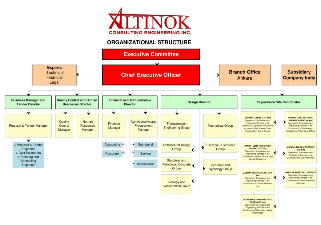 Altinok Organizational Structure 2019